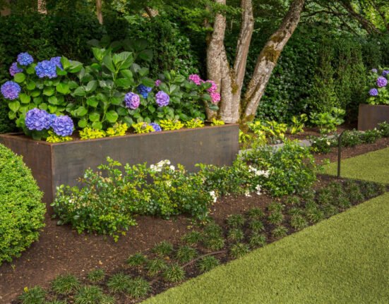 Easy And Effective Garden Tips For A Flourishing Green Space